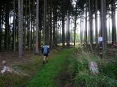  Blick auf die Wanderstrecke 
